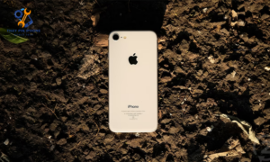 Thay pin Iphone 8 1 Nguyên nhân dẫn đến tình trạng pin iphone 8 xấu